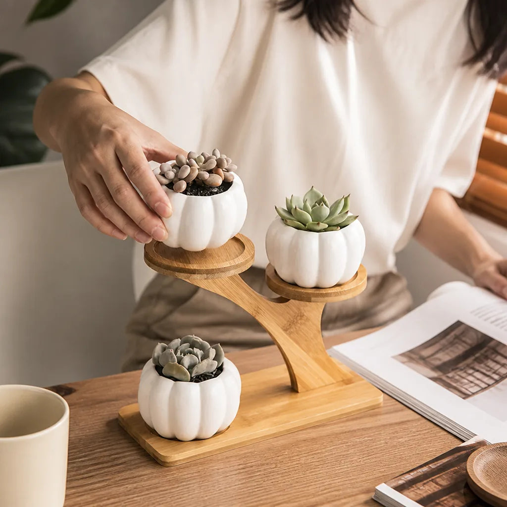 Bamboo Multi-Level Tabletop Shelf