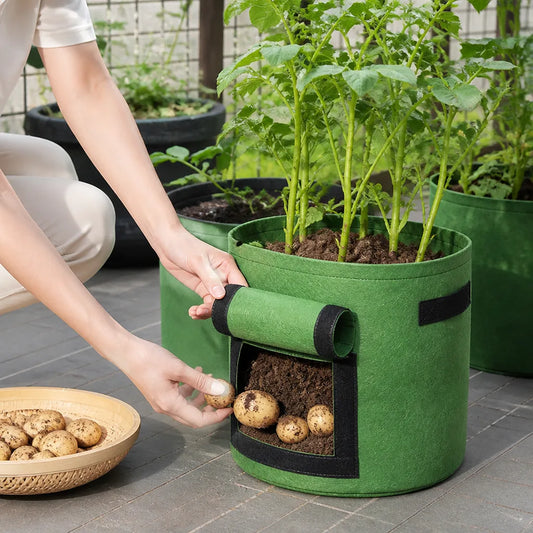 Side Harvest Flap Grow Bag With Reinforced Handles (30 × 30 cm)